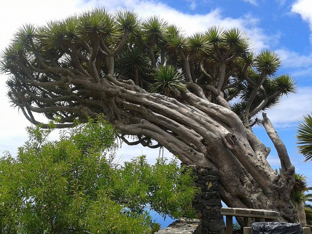 La Palmerita Vacacional ลอสยานอส เด อารีดาเน ภายนอก รูปภาพ
