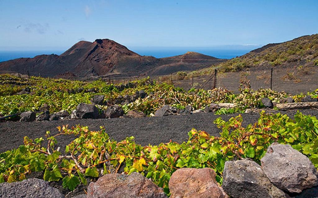 La Palmerita Vacacional ลอสยานอส เด อารีดาเน ภายนอก รูปภาพ