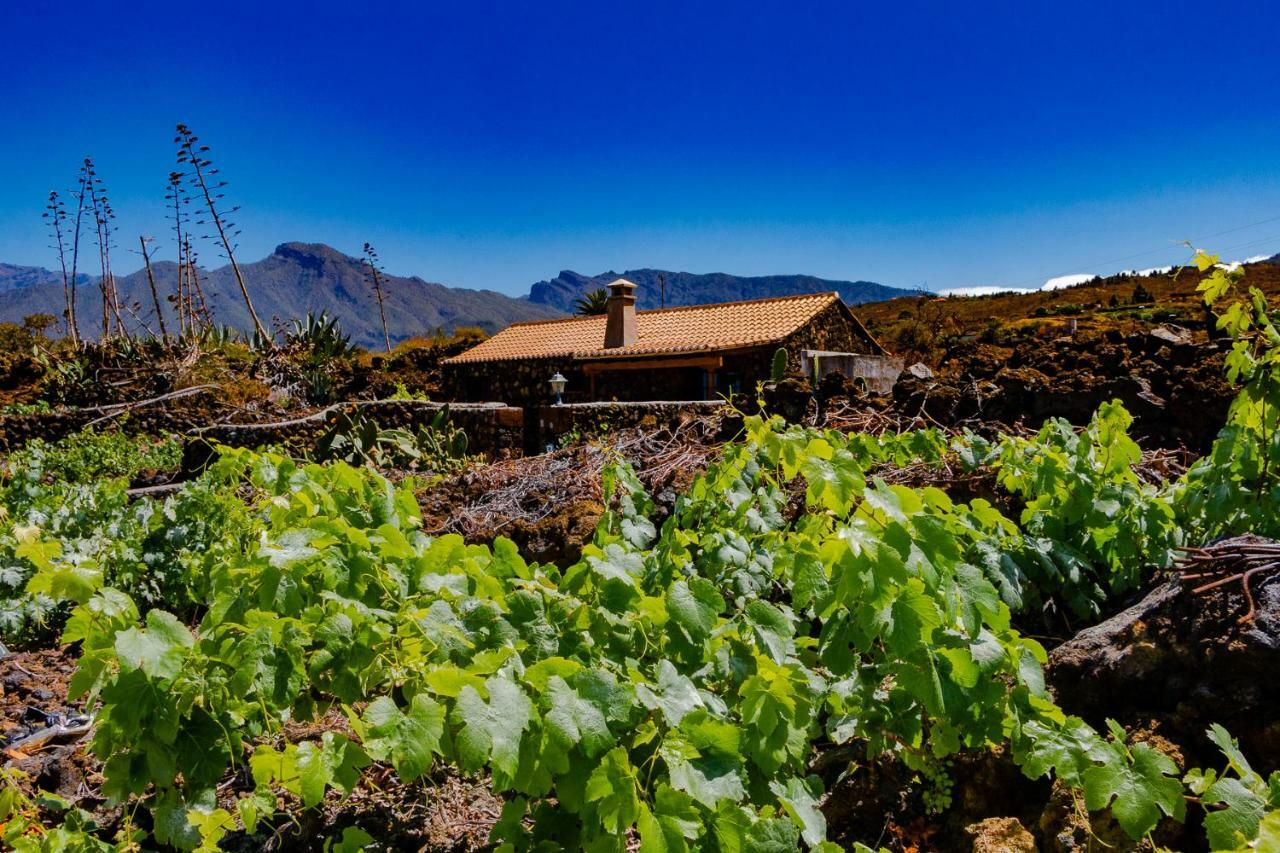 La Palmerita Vacacional ลอสยานอส เด อารีดาเน ภายนอก รูปภาพ